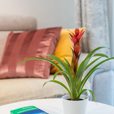 Le Stelia T2 6min Gare, 8 Min Palais Et Plages, Parking Prive 아파트 칸느