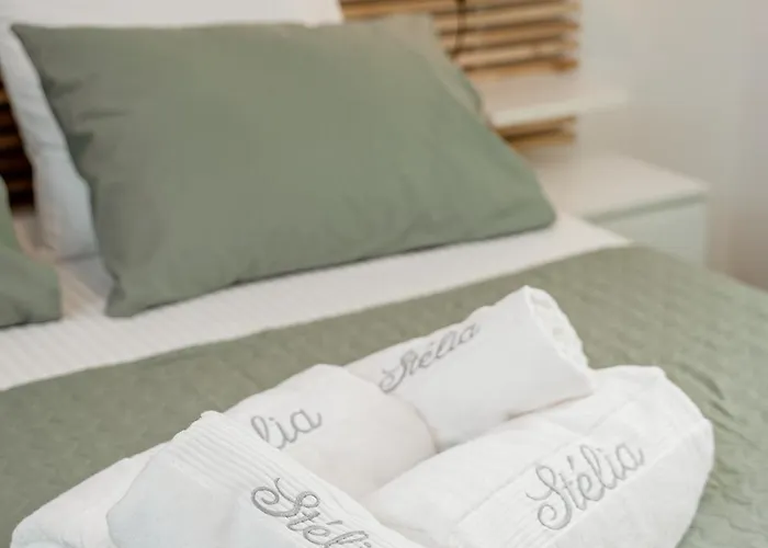 Le Stelia T2 6min Gare, 8 Min Palais Et Plages, Parking Privé * Cannes