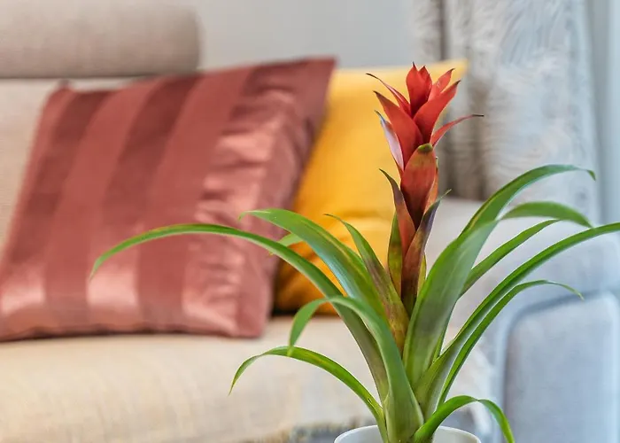 Le Stelia T2 6min Gare, 8 Min Palais Et Plages, Parking Privé Appartement Cannes